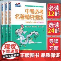 抖音同款]中考名著精讲细练初中名著导读考点精练状元满分笔记七八九年级初中生中考12本名著初一二三人教版同步正版