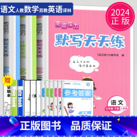 三年级下 语数英3本套装 小学三年级 [正版]2024亮点给力计算天天练三年级上册数学三上苏教版SJ江苏小学3年级上学期