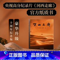 河西走廊 [正版]河西走廊书籍 CCTV高分纪录片河西走廊纸质书 高清全彩摄影照 原版解说词 敦煌壁画中国西部历史人文自