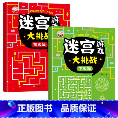 2册[初级篇+中级篇]迷宫游戏 [正版]抖音同款儿童迷宫专注力训练益智类玩具走迷宫思维游戏训练书3--8岁智力开发动脑智