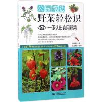 公园路边野菜轻松识:一眼认出食用野菜