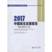2017中国民生发展报告