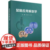[按需印刷] 鼠脑应用解剖学