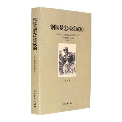正版新书]钢铁是怎样炼成的(全译本)(苏)奥斯特洛夫斯基|译者:赵