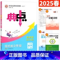 数学 华师版 八年级下 [正版]2025典中点八年级下数学华师版HS版 初二荣德基典中点八下数学同步练习册综合应用创新题
