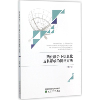 音像两化融合下信息化及其影响的测评方法刘敏 著