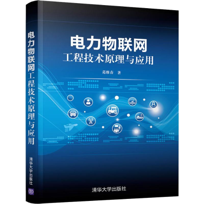 正版新书]电力物联网工程技术原理与应用葛维春9787302528098