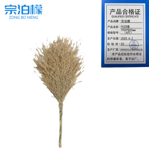 宗泊檬