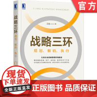 正版 战略三环 规划 解码 执行 王钺 系统建设 企业运营 商业机会 组织流程 咨询 工具 表格 流程 实战案例