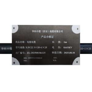 华科中缆 电线电缆 YJV22-3*35+1*25 米