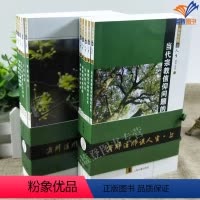 济群法师谈人生(上下册全10本)上海古籍 [正版]全新济群法师谈人生上下全十册上海古籍出版社济群当代哲学宗教社会阐述