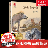 第七条猎狗 沈石溪著暖心美读书名师导读彩图版课文配套原著完整版儿童文学名著必小学生三四五六年级课外书阅读寒暑假书目正