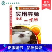[正版]实用养兔技术一本通 养兔技术大全养殖技术书肉兔科学养殖书籍农业畜牧兽医专业圈养兔病预防与诊治野兔饲养养殖场
