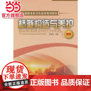 桥隧构造与养护(高职)(铁路职业教育铁道部规划教材)