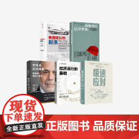 极速应对+战争中的经济学家+伯南克论大萧条+经济运行的真相+美国增长的起落(比较译丛)(套装5册) 艾伦 博拉尔德等著