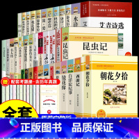 [配套人教版]7-9年级名著全套36册 [正版]全套12册 初中必读名著十二本朝花夕拾鲁迅原著西游记海底两万里和骆驼祥子