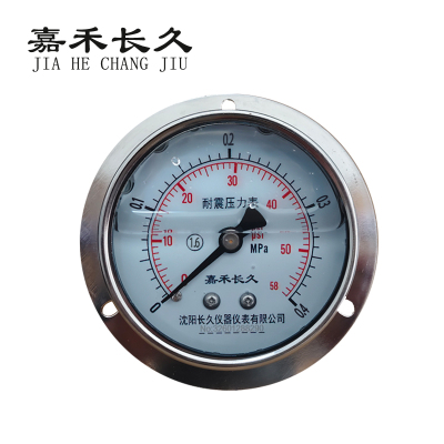 嘉禾长久 耐震压力表轴向带边检测型 YTN100ZT 块