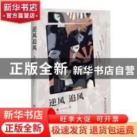 正版 逆风 追风 王楼著 百花洲文艺出版社 9787550037670 书籍