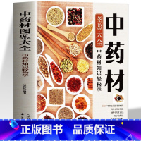 中药材图鉴大全 [正版]彩图版中药材图鉴大全精选353种常用中草药介绍基础知识来源形态生长分布性味归经及功能主治用法用量