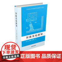 智能光电感知 王亮刘京京张志勇著 机器视觉领域中的Horn学派 中国青年出版社