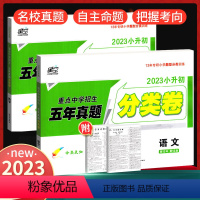 [正版]2024新版星空小升初真题试卷分类卷总复习语文数学全套 小学六年级上下册试卷练习册总复习资料专项训练必刷题 重