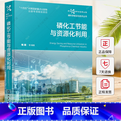 磷化工节能与资源化利用 [正版]磷科学前沿与技术丛书 磷化工节能与资源化利用 梅毅 磷节能磷化学工业资源利用书籍 磷科学