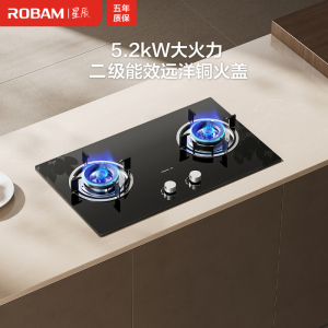 老板(Robam)[星辰系列]燃气灶家用双灶嵌入式煤气灶 5.2kW可调节小尺寸灶具灶台猛火灶二级能效20B2A天然气