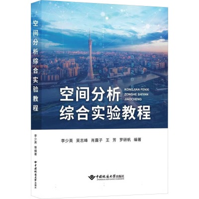 正版新书]空间分析综合实验教程李少英 等 编9787562560180