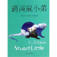 正版新书]精灵鼠小弟White9787532767397