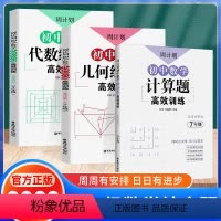 全套 七年级/初中一年级 [正版]正品七年级数学计算几何代数综合题高效训练周计划 初一7七年级上下册数学思维训练应用题真