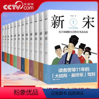 [正版]央视网新宋大全集12册 宋朝的大百科全书式小说 阿越解读宋朝那些事儿历史书籍中国上下五千年通史历史PD