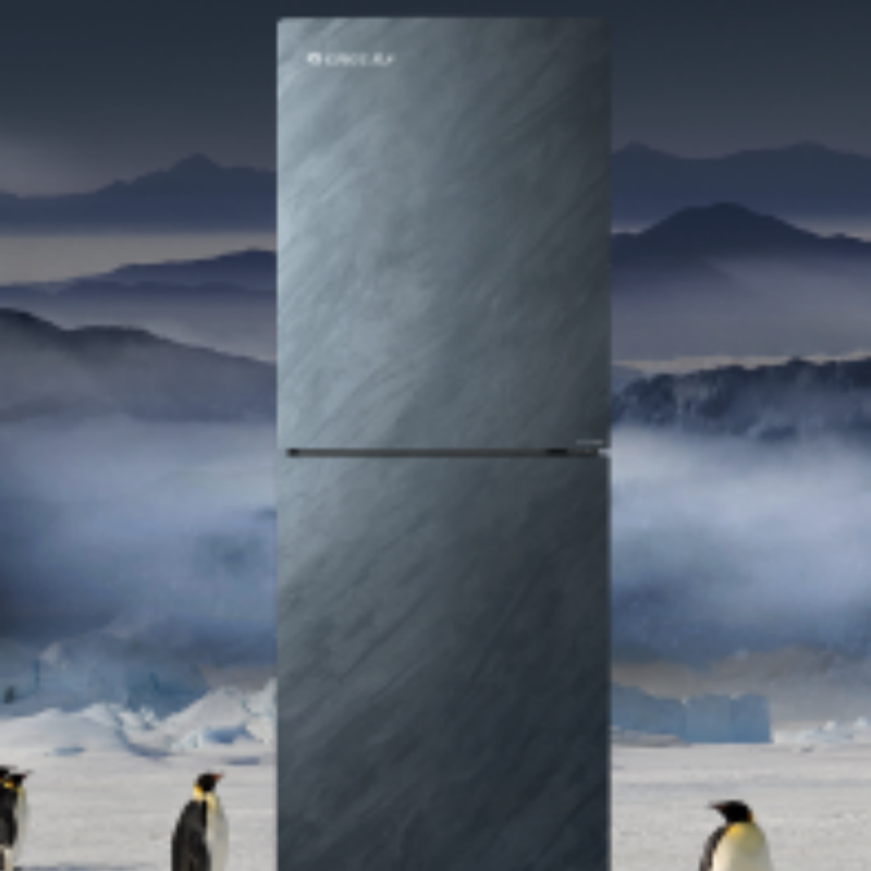 格力两门冰箱 290L 一键深冻 长久保鲜 BCD-290WGJAG1BPDGA/云岫岩