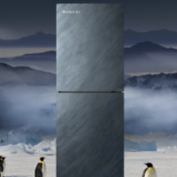 格力两门冰箱 290L 一键深冻 长久保鲜 BCD-290WGJAG1BPDGA/云岫岩