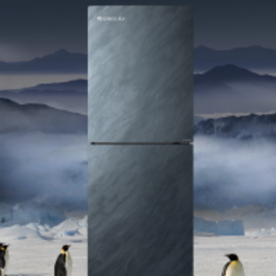 格力两门冰箱 290L 一键深冻 长久保鲜 BCD-290WGJAG1BPDGA/云岫岩