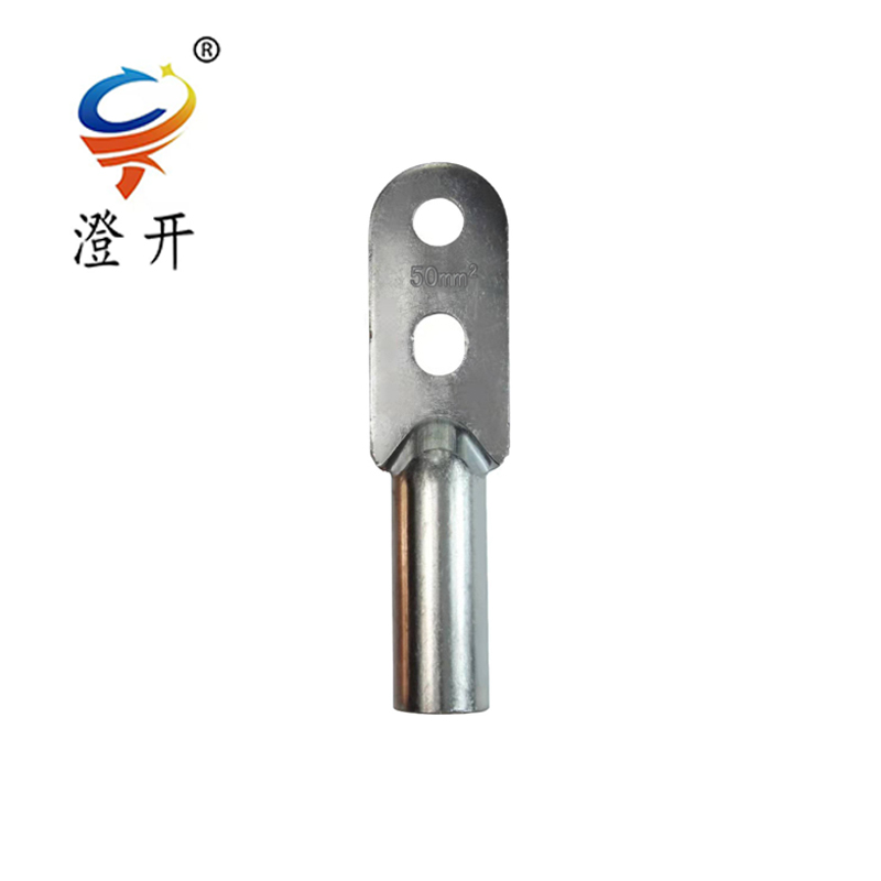 澄开 镀锡双孔铜鼻子接线端子 DTS-50平方/个