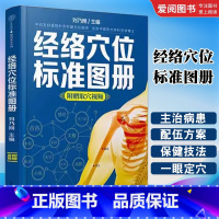 经络穴位标准图册 [正版]经络穴位标准图册 江苏凤凰科学技术出版社 中医推拿按摩书养生书籍大全 人体经络穴位图解养生书籍