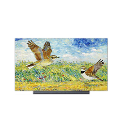 康佳小百灵 85G10Pro 85英寸MiniLEDJBL音响液晶电视机