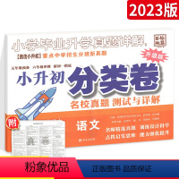 [正版]2023版小升初真题分类卷语文 全国版 小学毕业升学真题详解 小升初语文真题试卷详解 六年级小考小升初招生入学