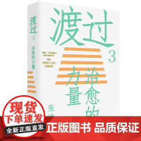 渡过3治愈的力量 张进 著 总会变好的一起来聊聊抑郁症 抑郁症自我治疗书籍 理解抑郁预防抑郁直面自己的内心 中国工人出版