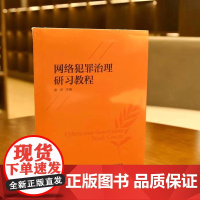2024新书 网络犯罪治理研习教程 谢澍 主编 中国政法大学出版社 研究型教材网络犯罪案件侦查办理规制审查行动对策