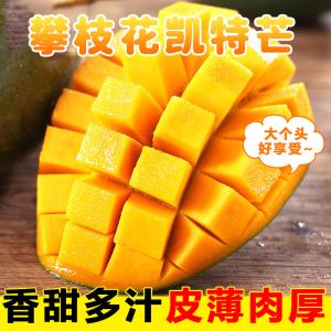 [西沛生鲜]精选攀枝花凯特芒 净重5斤 大果 单果600g左右 当季新鲜 热带水果 坏果包赔