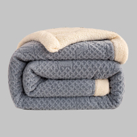 汉司家纺 HANSI-XP01提花雕花羊羔绒被 150*200cm 被子(计价单位:条)蓝色