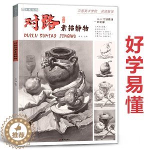 [醉染正版]对路经典素描静物 2021沐尚文化单体组合照片对画临摹范本基础入门美院顶配考级高考联考全集一本通美术绘画画册