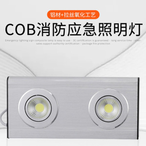 非·芯·赫 FHGL230Y-12