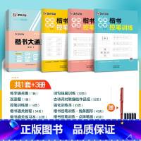 [楷书控笔套装]大通关10件套+控笔训练3册 [正版]字帖练字成年男行楷大通关行书速成控笔训练大学生成人女生漂亮硬笔书法