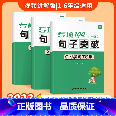 [句子套装]优美句子+句式训练+句子衔接 小学通用 [正版]易蓓小学生语文病句专项训练三四五六年级人教版病句修改大全讲解