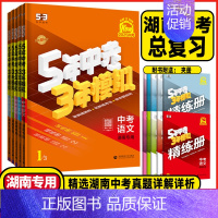 中考物理+化学共2本 湖南专用(2025版) 湖南省 [正版]2025版湖南5年中考3年模拟中考语文数学英语物理化学历史