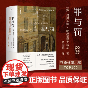罪与罚 费奥多尔·陀思妥耶夫斯基 经典译本2025新修订 豆瓣外国小说Top100 刑法学教授罗翔必读!
