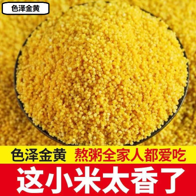 中锐智采 山西农家黄小米月子米新米散装杂粮 黄小米1斤装 散装