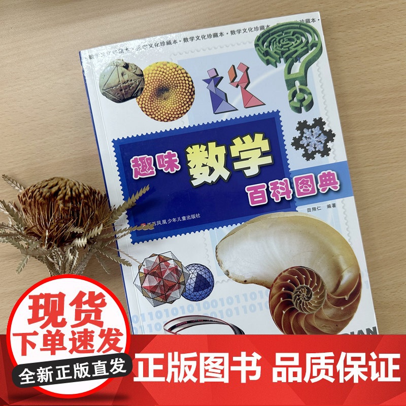 趣味数学百科图典 田翔仁著数学简史拓展数学视野培养数学思维6-9-10岁小学生一二三四年级数学科普启蒙课外阅读书